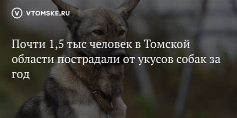 Показатели укусов собак в экстремальных условиях