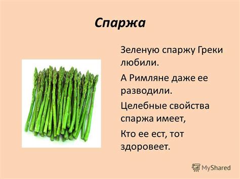 Полезные свойства спаржи для детского организма