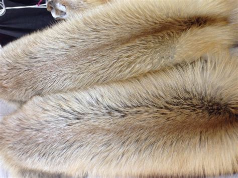 Полезные советы по добыче меха песца