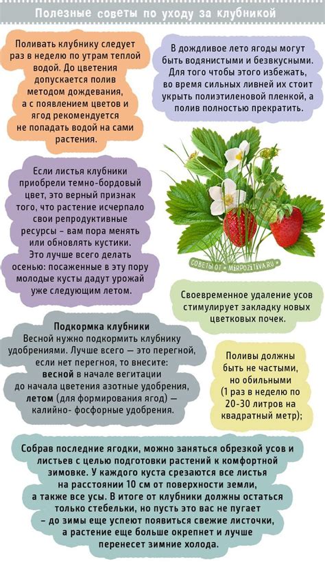 Полезные советы по уходу за ножками девочки