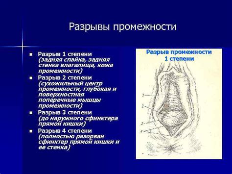 Польза и необходимость наружного акушерского обследования
