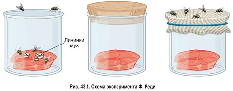 Понимание происхождения
