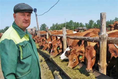 Понятие личного подсобного хозяйства