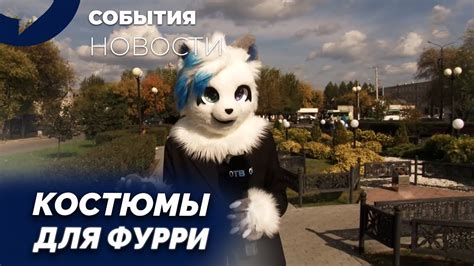 Популярность в сообществе