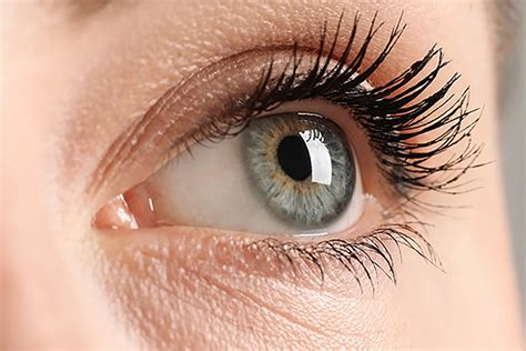 Популярность серых глаз в мире: статистика