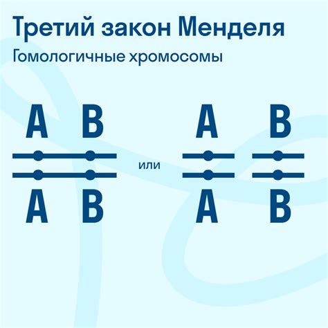 Популярные варианты скрещивания:
