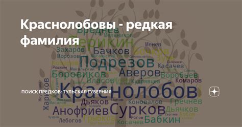Почему фамилия редкая
