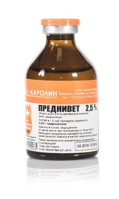 Правила применения масел для лечения запора у кошек