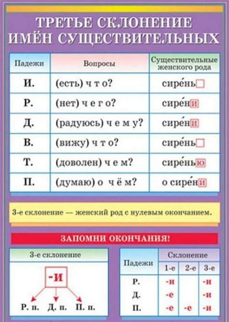 Правила склонения в роде и числе