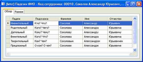 Правила склонения фамилии Мулык в именительном падеже