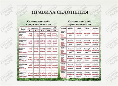 Правила склонения фамилии Садаков