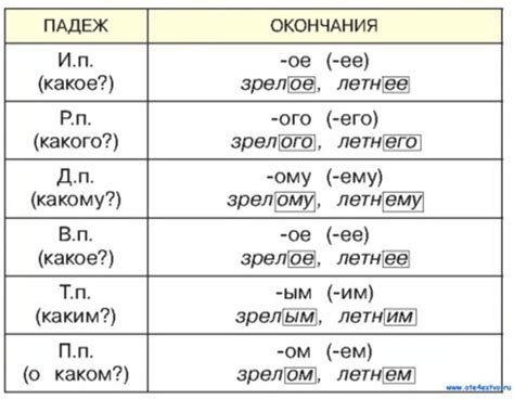 Правила склонения фамилии Сигида в русском языке