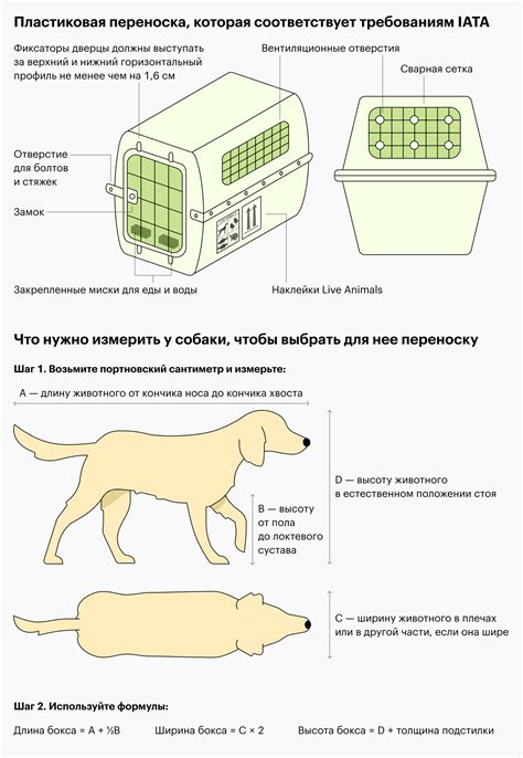 Правила упаковки при низком давлении в багажном отделении
