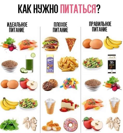 Правильное питание для получения магических способностей