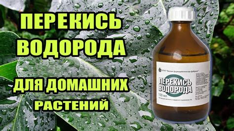 Практические рекомендации по применению перекиси водорода для эффективного осветления волос