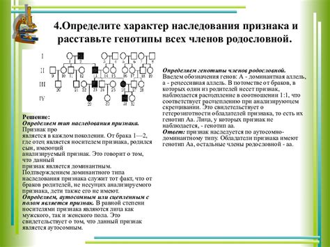 Практические советы по родословным исследованиям с фамилией Какашка