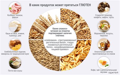Преимущества и риски консумации солянки для детей