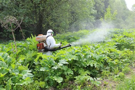 Применение пестицидов и гербицидов