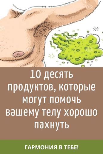 Причины, по которым деревья могут пахнуть мочой