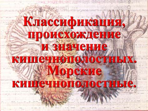 Происхождение Клоос