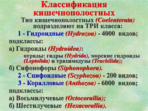 Происхождение и название