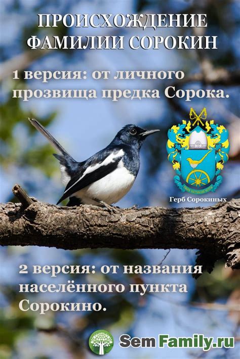 Происхождение фамилии Сорокин