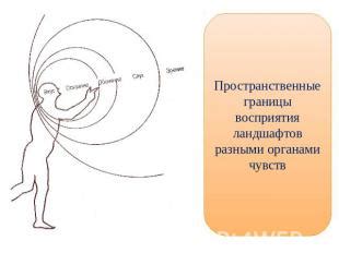 Пространственные возможности восприятия