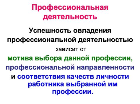 Профессиональная деятельность