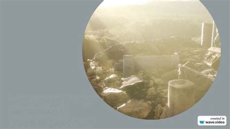 Путешествие во времени: история фамилии Гудов