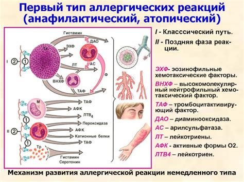 Пылесос как источник аллергических реакций