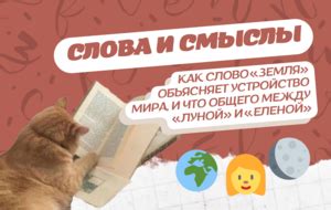 Разбираемся в этимологии и смысле
