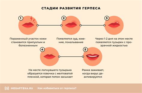 Раздел 3: Полезные советы и рекомендации
