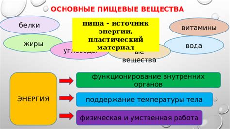 Различия в питательных веществах