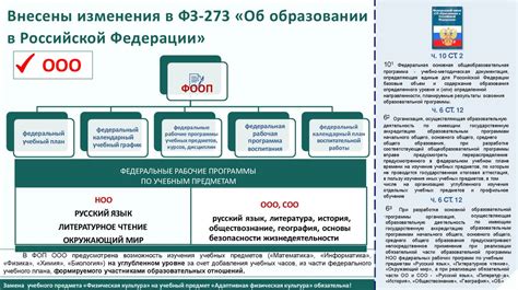Различия между СОО и ООО
