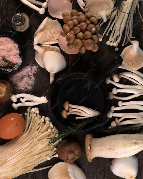 Различные типы грибов