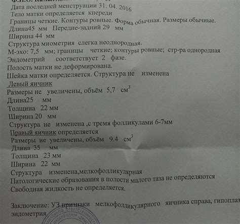Размер желтого тела при беременности