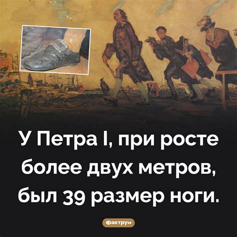 Размер ноги знаменитостей: интересные факты и секреты