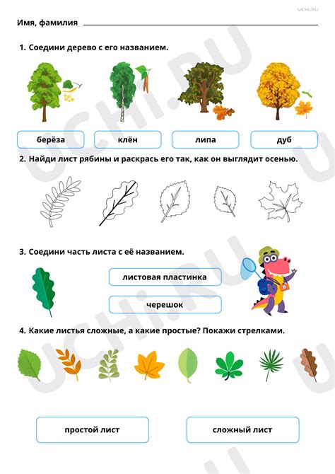 Раннеспелые растения: особенности лиственных деревьев