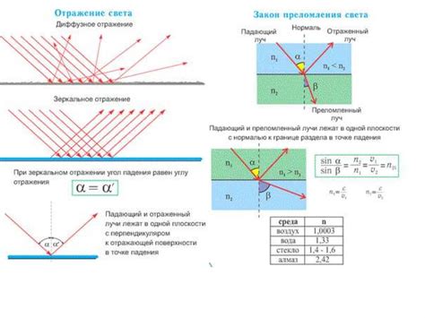 Распространение света и изменение его интенсивности осенью