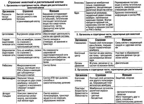 Распространенные порты и их функции