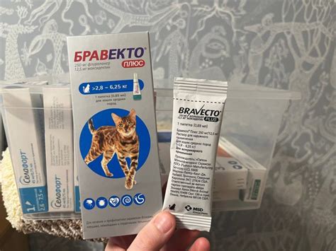 Растительные масла для борьбы с запором у кошек