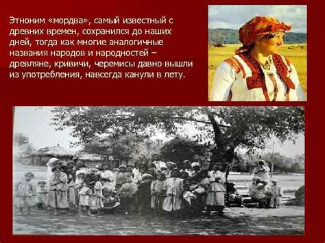 Редкий род, известный с древних времен