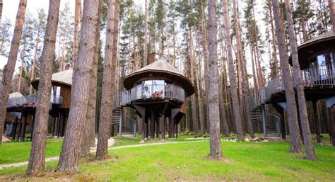 Рекомендации по выбору перевода "1984"