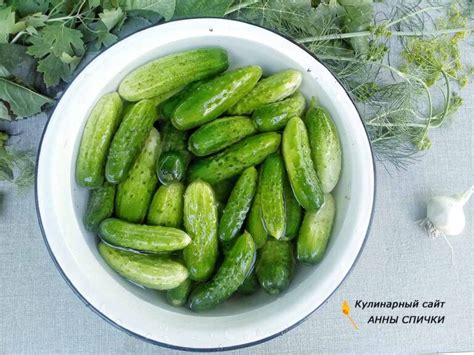 Рецепт консервирования огурцов: как замачивать их