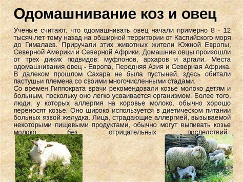 Родоначальник и происхождение