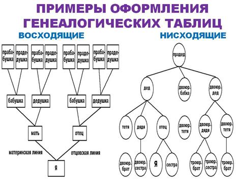 Родственные связи и происхождение фамилии Савостюк