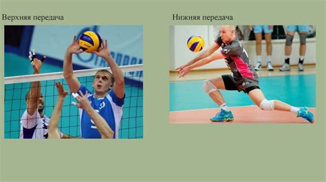 Роль волейбола в физкультурном образовании