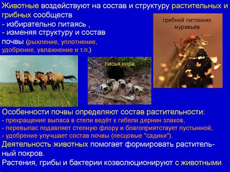 Роль животных в искусстве и литературе как выражение креативности и воображения