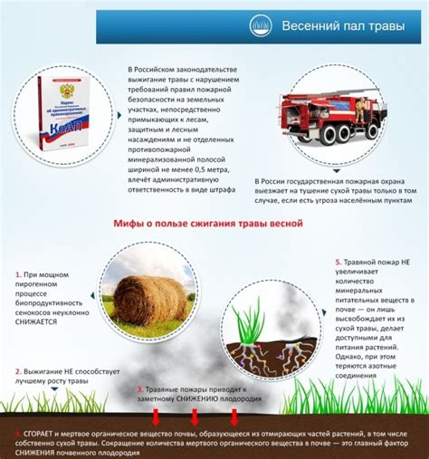 Самовозгорание травы: причины и последствия