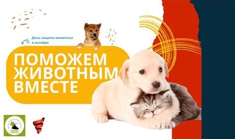 Сбор всех животных